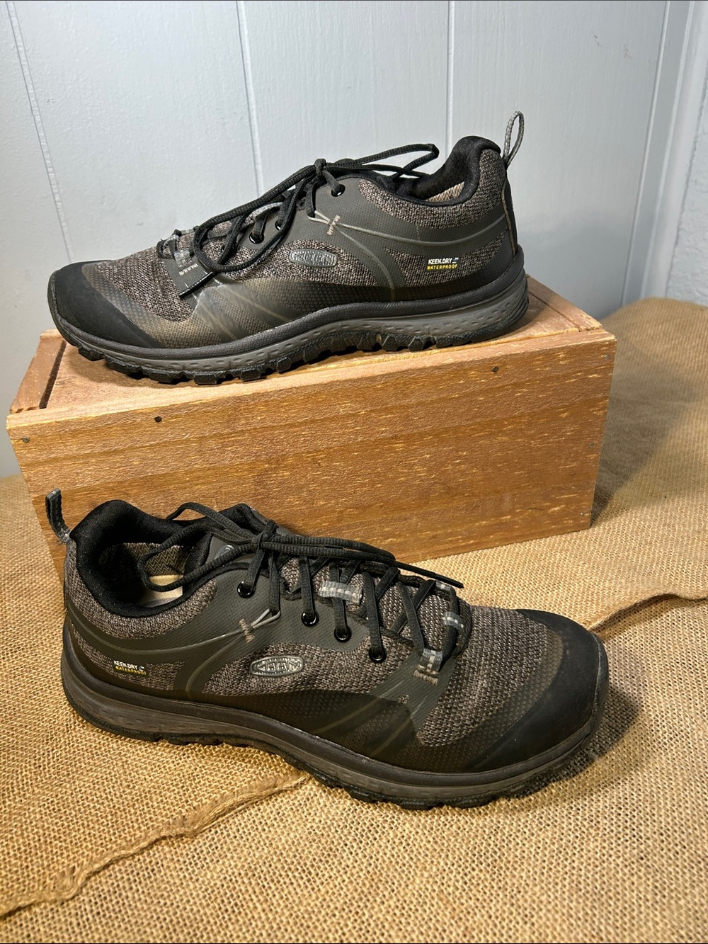 Keen Terradora Waterproof Sneakers